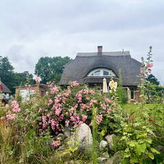 24-07-03 11-56-37 0153